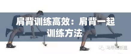 肩背训练高效：肩背一起训练方法 