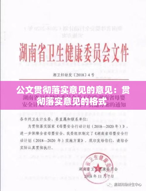 公文贯彻落实意见的意见：贯彻落实意见的格式 