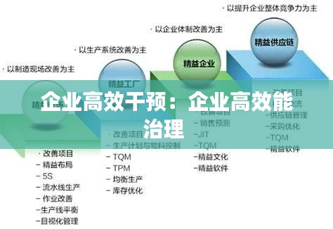 企业高效干预：企业高效能治理 