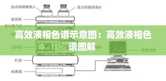 高效液相色谱示意图：高效液相色谱图解 