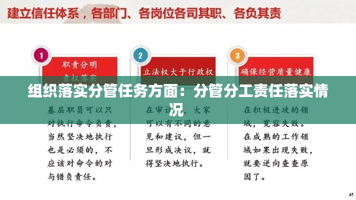 组织落实分管任务方面：分管分工责任落实情况 