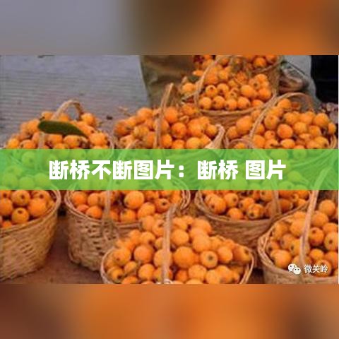 断桥不断图片：断桥 图片 