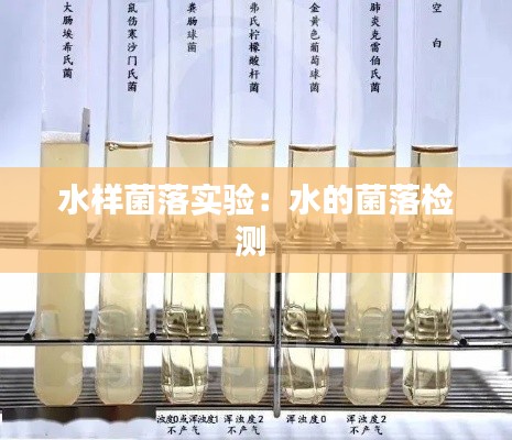 水样菌落实验：水的菌落检测 