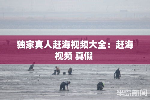 独家真人赶海视频大全：赶海视频 真假 