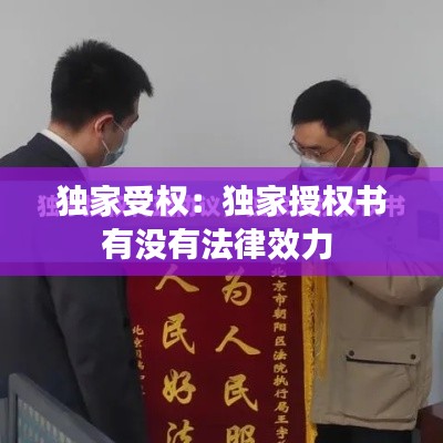 独家受权：独家授权书有没有法律效力 