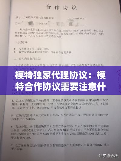 模特独家代理协议：模特合作协议需要注意什么 