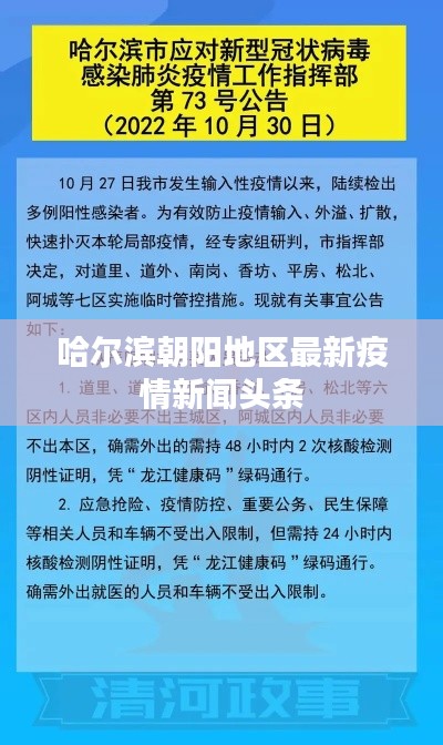 哈尔滨朝阳地区最新疫情新闻头条