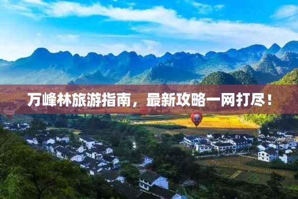 万峰林旅游指南，最新攻略一网打尽！