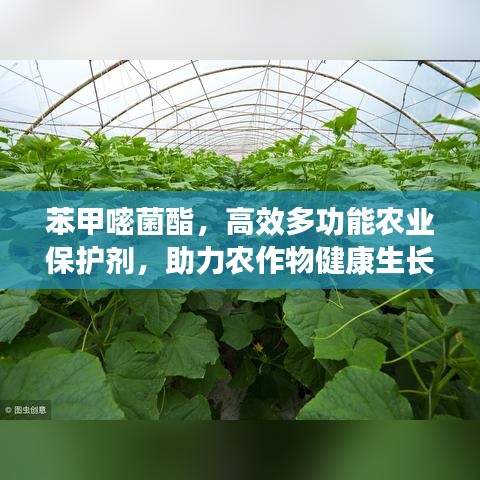 苯甲嘧菌酯，高效多功能农业保护剂，助力农作物健康生长