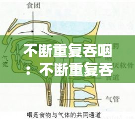 不断重复吞咽：不断重复吞咽口水 