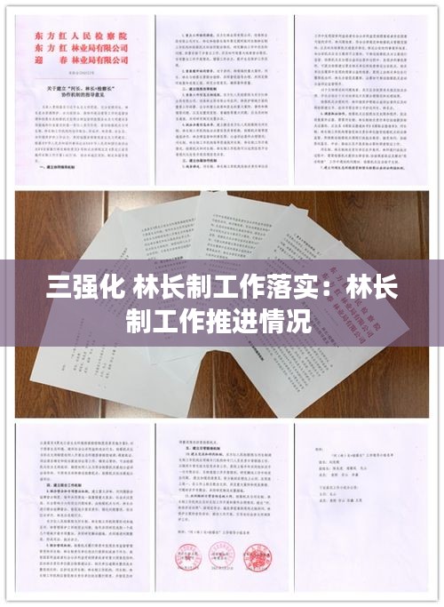 三强化 林长制工作落实：林长制工作推进情况 