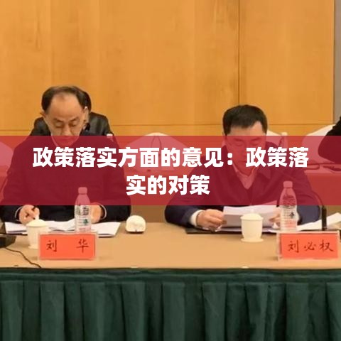 政策落实方面的意见：政策落实的对策 