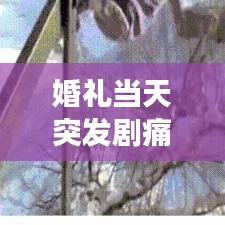 婚礼当天突发剧痛完整版：婚礼当天发生的奇葩事 