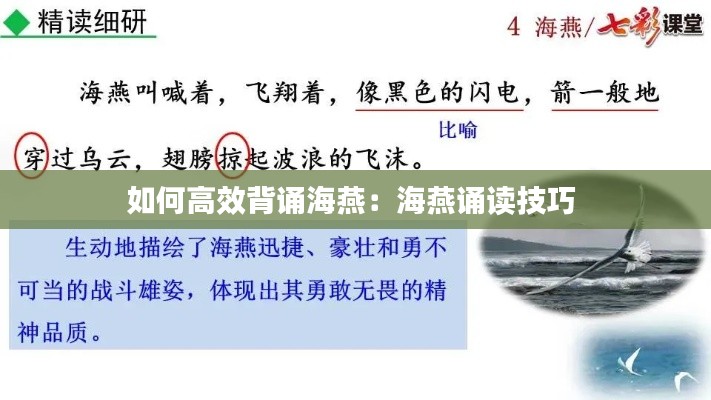 如何高效背诵海燕：海燕诵读技巧 