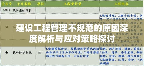 建设工程管理不规范的原因深度解析与应对策略探讨