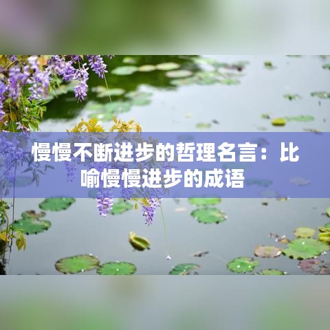 慢慢不断进步的哲理名言：比喻慢慢进步的成语 