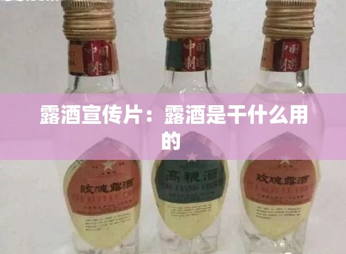 露酒宣传片：露酒是干什么用的 