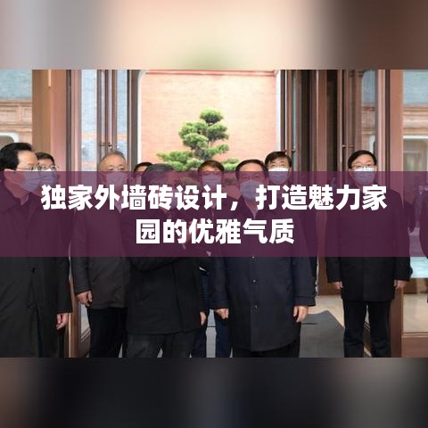 独家外墙砖设计，打造魅力家园的优雅气质