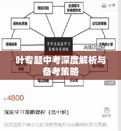 叶专题中考深度解析与备考策略