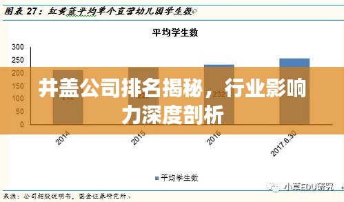 井盖公司排名揭秘，行业影响力深度剖析