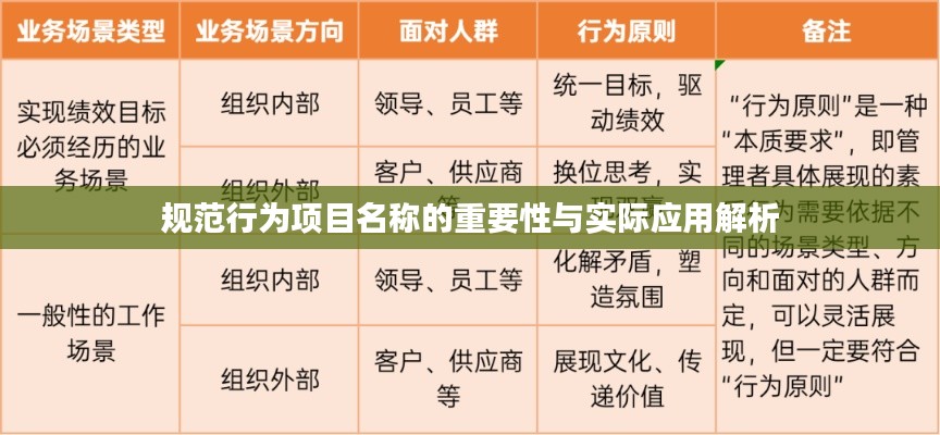 规范行为项目名称的重要性与实际应用解析