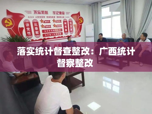 落实统计督查整改：广西统计督察整改 