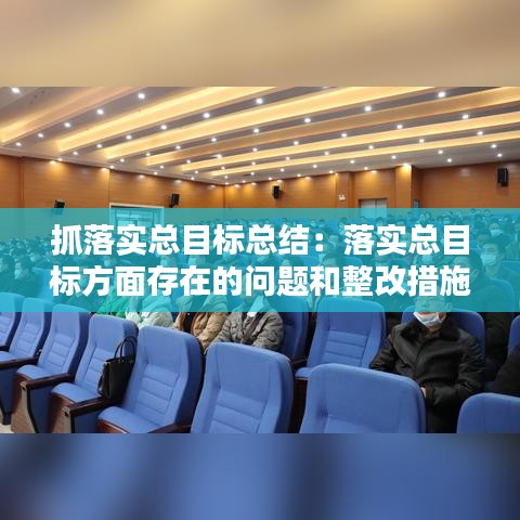 抓落实总目标总结：落实总目标方面存在的问题和整改措施 