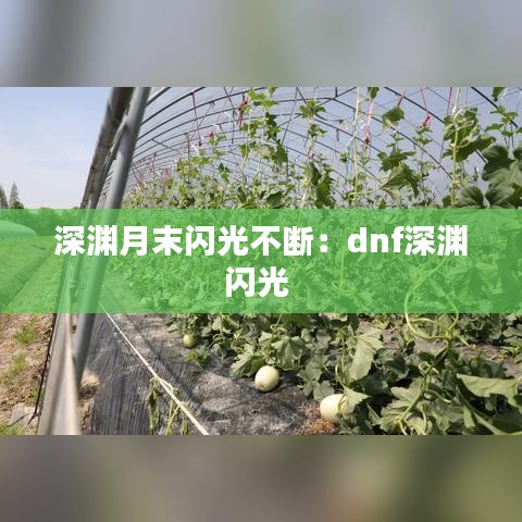 深渊月末闪光不断：dnf深渊闪光 