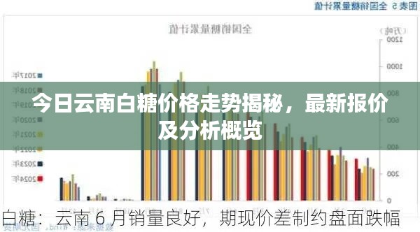 今日云南白糖价格走势揭秘，最新报价及分析概览