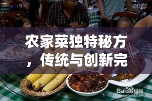 农家菜独特秘方，传统与创新完美融合，百度收录，不容错过！