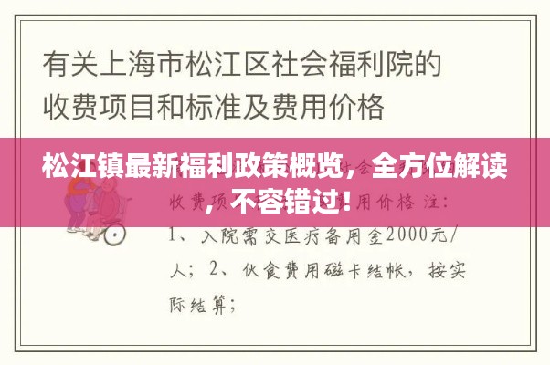 松江镇最新福利政策概览，全方位解读，不容错过！