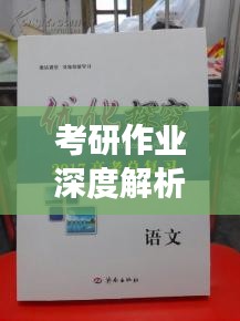 考研作业深度解析，挑战与突破的探索之旅