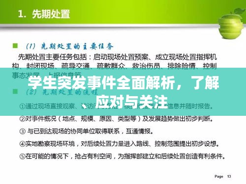 学生突发事件全面解析，了解、应对与关注