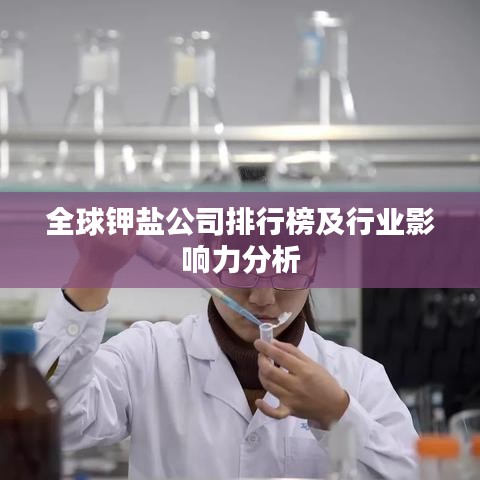 全球钾盐公司排行榜及行业影响力分析