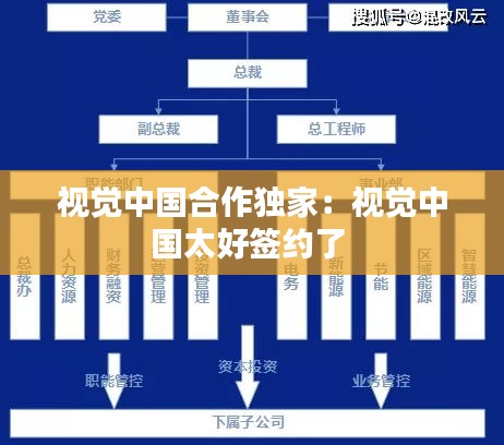 视觉中国合作独家：视觉中国太好签约了 