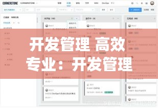 开发管理 高效 专业：开发管理的主要任务 