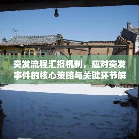 突发流程汇报机制，应对突发事件的核心策略与关键环节解析