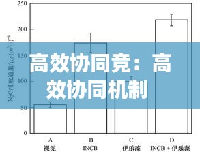 高效协同竞：高效协同机制 