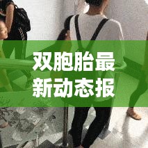 双胞胎最新动态报道，今日消息全面更新！