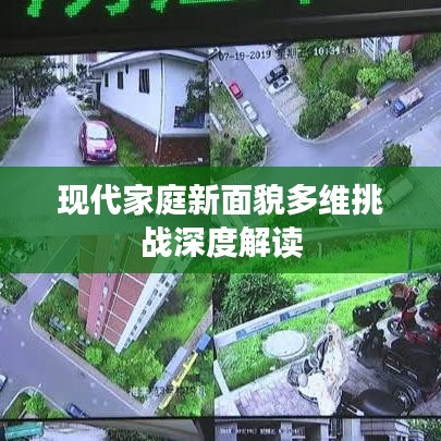 现代家庭新面貌多维挑战深度解读