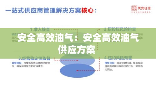 安全高效油气：安全高效油气供应方案 