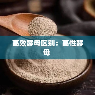 高效酵母区别：高性酵母 