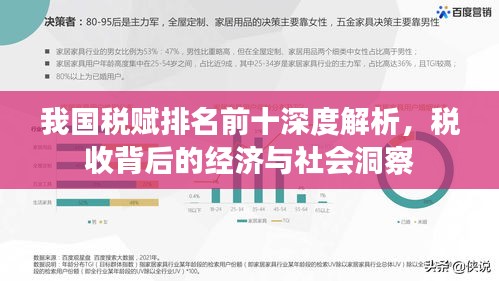 我国税赋排名前十深度解析，税收背后的经济与社会洞察