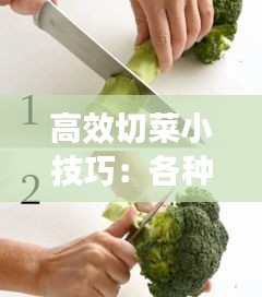 高效切菜小技巧：各种切菜技巧视频教程 