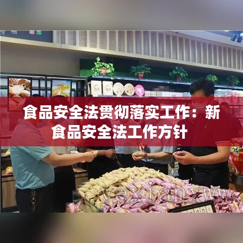 食品安全法贯彻落实工作：新食品安全法工作方针 