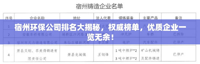 宿州环保公司排名大揭秘，权威榜单，优质企业一览无余！