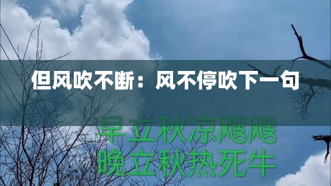 但风吹不断：风不停吹下一句 