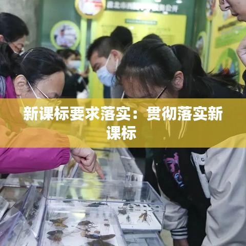 新课标要求落实：贯彻落实新课标 