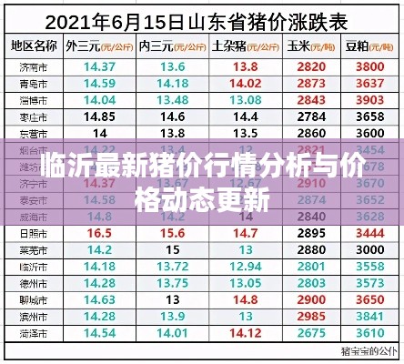 临沂最新猪价行情分析与价格动态更新