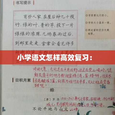 小学语文怎样高效复习： 